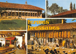 01 AIN Fermes Bressanes  16 (scan Recto Verso)MF2738BIS - Villars-les-Dombes