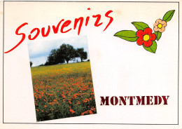 MONTMEDY Meuse Souvenirs  35 (scan Recto Verso)MF2748VIC - Montmedy