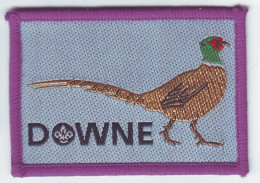 B 24 - 114 ENGLAND Scout Badge - Downe - Scoutisme