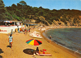 LE PRADET  La Plage Des Bonnettes   6 (scan Recto Verso)MF2796 - Le Pradet