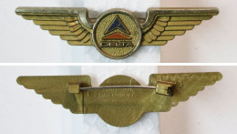 Insigne Civile-USA-aviation_broche Delta Airlines_20-24 - Crew-Abzeichen