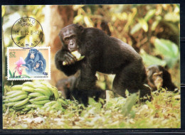 JAPAN GIAPPONE 1992 CONFERENCE ON INTERNATIONAL TRADE IN ENDANGERED SPECIES CITES CHIMPANZEES 62y MAXI MAXIMUM CARD - Cartes-maximum