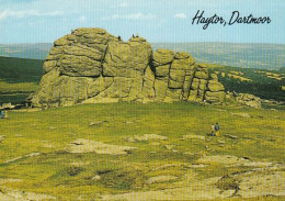 Haytor Dartmoor- Devon - Unused Postcard - Dev1 - Dartmoor