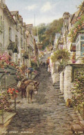 Clovelly High Street - Devon - Unused Postcard - Dev2 - Clovelly