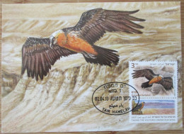 ISRAEL 2013 VULTURE GYPAETUS BARBATUS PALPHOT MAXIMUM CARD STAMP FIRST DAY OF ISSUE POSTCARD CARTE POSTALE POSTKARTE - Maximumkarten