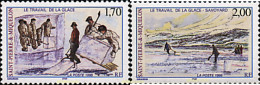 35661 MNH SAN PEDRO Y MIQUELON 1998 TRABAJO DEL HIELO - Neufs