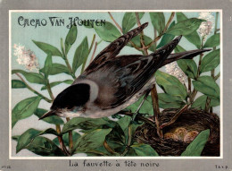 CHROMO CACAO VAN HOUTEN LES OISEAUX LA FAUVETTE A TETE NOIRE N°22 - Van Houten