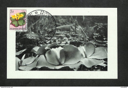 RUANDA-URUNDI - Carte MAXIMUM 1958 - Palais Du CONGO BELGE Et Du RUANDA-URUNDI - Fleurs - COSTUS - Sonstige & Ohne Zuordnung