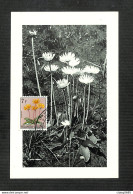 RUANDA-URUNDI - Carte MAXIMUM 1958 - Palais Du CONGO BELGE Et Du RUANDA-URUNDI - Fleurs - GERBERA - Other & Unclassified