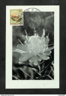 RUANDA-URUNDI - Carte MAXIMUM 1958 - Palais Du CONGO BELGE Et Du RUANDA-URUNDI - Fleurs - PROTEA - Autres & Non Classés