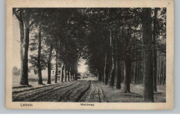 0-1804 LEHNIN, Waldweg, 1922 - Lehnin