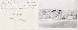 Ross Dependency 1976 Christmas Card From Scott Base (RO161) - Brieven En Documenten