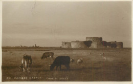 United Kingdom England Camber Castle - Rye