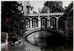 Cambridge 1953 - Cambridge