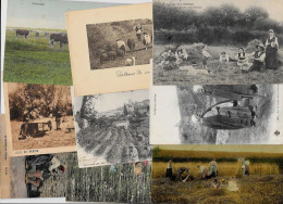 Lot 254 De 10 CPA Divers Métier Campagne Ferme Folklore Déstockage Pour Revendeurs Ou Collectionneurs - 5 - 99 Postcards