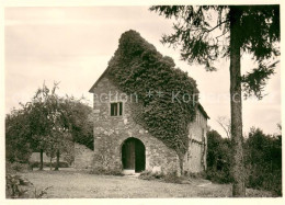 73624532 Steinbach Michelstadt Einhardsbasilika Ruine Steinbach Michelstadt - Michelstadt