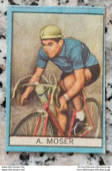 Bh Figurina Cartonata Nannina Cicogna Ciclismo Cycling Anni 50 A.moser - Catalogues