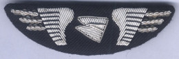 Insigne Tissu Et Cannetille Air Inter - Badges D'équipage