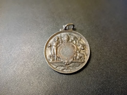 Médaille De La Sociéte Royale Agricole Belges (Tinlot Et Huy) - Jetons De Communes