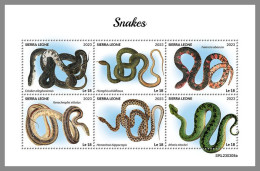 SIERRA LEONE 2023 MNH Snakes Schlangen M/S – IMPERFORATED – DHQ2418 - Schlangen