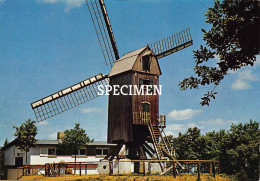 Lijstermolen Op De Rodeberg - Westouter - Heuvelland