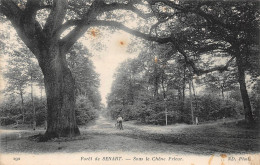 FORET DE SENART     CHENE PRIEUR    ARBRE - Sénart