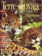 TERRE SAUVAGE N° 31 Animaux Jaguard Orque Moustiques Géographie Inde Dolomites - Animaux