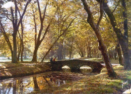 *CPM  - 78 - RAMBOUILLET - Le Jardin Anglais Dans Le Parc Du Château - Rambouillet (Château)