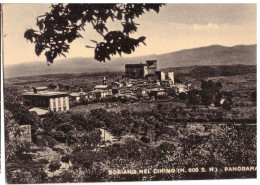 1956 SORIANO NEL CIMINO  12   VITERBO - Viterbo