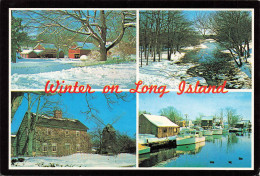 ETATS-UNIS - Winter On Long Island - Nature And Geography Have Combined To Endow Long Island With A Full - Carte Postale - Long Island