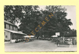 59. FOURMIES - Les Etangs Des Moines / Le Chalet (animée) CPSM - Fourmies