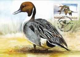 DUCKS,2007 MAXICARD,CARTES MAXIMUM ROMANIA. - Canards