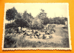 NIJLEN  -  Home Karel Slootmaekers - Speeltuin - Nijlen