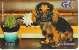 TARJETA DE RUSIA DE UN PERRO DE TIRADA 5000 (CAN-DOG) - Hunde