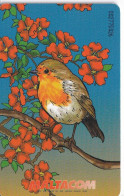 TARJETA DE MALTA DE UN PETIRROJO (BIRD-PAJARO) ROBIN - Malte