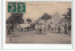 EN BERRY - CULAN - Sur Le Champ De Foire - Très Bon état - Culan