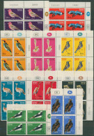 Israel 1963 Tiere Vögel 270/79 Plattenblock Postfrisch (C61538) - Ungebraucht (ohne Tabs)