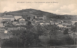 42-BELMONT-N°2126-A/0229 - Belmont De La Loire