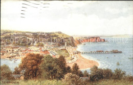 11750601 Teignmouth Teignbridge Panorama Beach Kuenstlerkarte  - Other & Unclassified