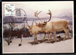 NORWAY NORGE NORVEGIA NORVEGE 1988 1890 FAUNA REINDEER 3.80k MAXI MAXIMUM CARD - Cartes-maximum (CM)