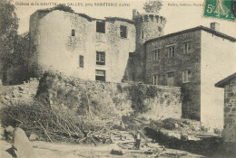 42 - CHATEAU DE LA GOUTTE AUX SALLES PRES NOIRETABLE - Noiretable