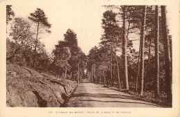 83 - LA  CHAINE DES MAURES - ROUTE DE LA MOLE ET DE COGOLIN - Cogolin