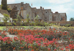 Hungerford - Littlecote - Le Jardin Rose - Andere & Zonder Classificatie