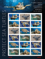 USA 2024 Protect Sea Turtles,Oilve Ridley,Animal, Imperf NDC, Full Sheet, MNH (**) - Neufs