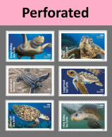 USA 2024 Protect Sea Turtles,Oilve Ridley,Animal, Perforated ,Set Of 6v, MNH (**) - Neufs