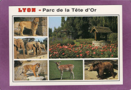 69 LYON 6 Parc De La Tête D'Or Multivues Puits  Animaux Lion Éléphants Tigre Daim Ours - Lyon 6