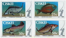 28514 MNH CISKEI 1985 PECES - Ciskei