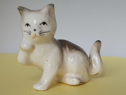 MINIATURE  -  "ANIMAUX" -   CHAT BLANC ET GRIS,  CREUX   -PATTE LEVEE -  H ;  5.5 Cm - Largeur  3 Cm  -  Poids  40  Gr - Animaux