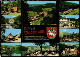 40150407 - Wildemann - Wildemann