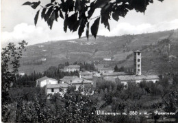 VILLAMAGNA (CHIETI) PANORAMA - ED. CASINI - NVG FG - C0389 - Chieti